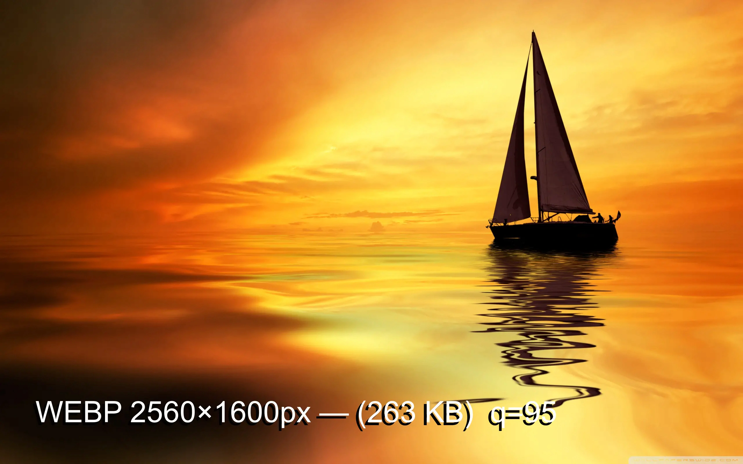 Jpg Format Photo Example : 5 Different Methods To Convert Jpg Format To Raw File : Lossless image formats capture all of the data of your original file.